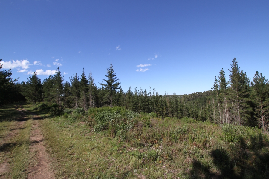 0 Bedroom Property for Sale in Plettenberg Bay Rural Western Cape